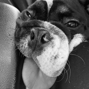 Meet your Posher, Nicole